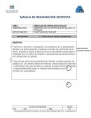 Manual de organizacion instituciones