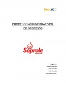 PROCESOS ADMINISTRATIVOS DE NEGOCIOS