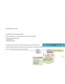 RESUMEN: El mañana nunca se conoce