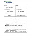 Planteamiento del proyecto Mercadotecnia. Actividad 1. Análisis del caso