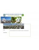 COSTOS DE PRODUCCION DE ALGODÓN EN FORMA CALENDARIZABLE