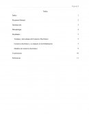 Comercio electrónico y su impacto en la Globalización