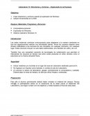 Laboratorio 12: Directorios y Archivos – Explorando la red humana