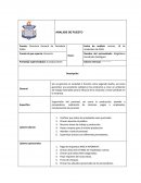 Análisis de puesto Directora General de Pastelería Polita