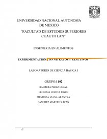 EXPERIMENTACION CON NITRATOS Y REACTIVOS LABORATORIO DE CIENCIA BASICA I. Página 1