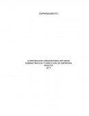 CASO PRACTICO UNIDAD 1 EXCUSAS