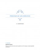 Convivio Administración