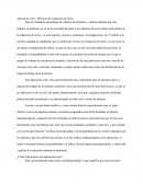 Aplicación web – Métricas de evaluación de textos