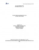 PLAN DE FORMACION DE LA DISTRIBUIDORA LAP