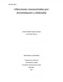 Infecciones nosocomiales por Acinetobacter y Klebsiella