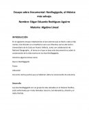 Ensayo sobre Documental: Revillagigedo, el México más salvaje