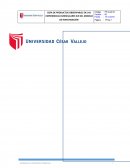 GUÍA DE PRODUCTOS OBSERVABLES DE LAS EXPERIENCIAS CURRICULARES EJE DEL MODELO DE INVESTIGACIÓN
