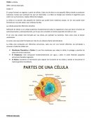 TEMA: La Célula. ÁREA: Ciencias Naturales