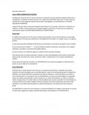 Casos del océano azul Caso PIXAR ANIMATION STUDIOS