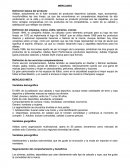 Plan de negocios-mercadeo