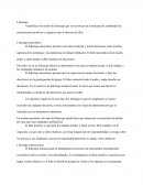 Identificar los estilos de liderazgo que se reconocen en la descripción, detallando las características positivas y negativas que se derivan de ellos