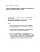 Empresa en riesgo compartido o participación