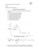 TRABAJO PRÁCTICO REACCIONES QUÍMICAS