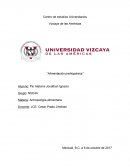 Alimentacion prehispanica