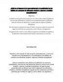 Cuál es el impacto de la mercadotecnia y la publicidad en los hábitos de consumo de alimentos chatarra y bebidas energeticas?