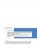 Ensayo experimentacion humana