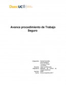 Avance procedimiento de Trabajo Seguro