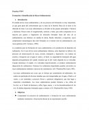 Practica N°8-9 Formación e Identificación de Rocas Sedimentarias