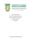 LA REALIDAD DEL CAMPO