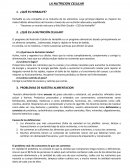 La nutricion Celular