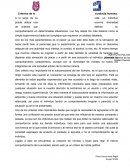Criterios de la conducta humana. A lo largo de su vida, un individuo puede utilizar una enorme diversidad de criterios