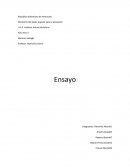 Evolucion del hombre Ensayo