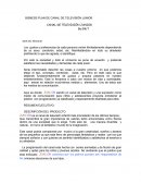 Bisness Plan de Canal de Televisión JUNIOR