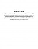 La familia. Conceptos de familia