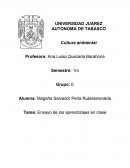 Ensayo de los aprendizajes en clase Cultura ambiental