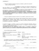 Actividades Ciudadania y politica