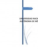 Investiga en qué instituciones del sector público el Trabajador Social puede tener una intervención profesional