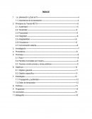 INVESTIGACIÓN A TIENDAS NETO