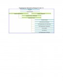 Organigrama General de Himesa S.A de C.V.