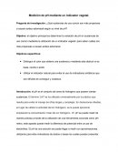 Ejemplo de las Escuelas argentinas