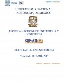 Ensayo de “LA SALUD FAMILIAR”