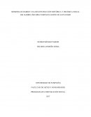 MEMORIA DE BARRIO: UNA RECONSTRUCCIÓN HISTÓRICA Y DINÁMICA SOCIAL DEL BARRIO CHICHIRA PAMPLONA NORTE DE SANTANDER