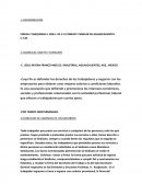 FORJAS Y MAQUINAS S. DER.L. DE C.V.CONEXO Y SIMILAR DE AGUASCALIENTES C.T.M