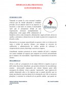 IMPORTANCIA DEL PRESUPUESTO GRUPO INTERMETRICA