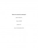 Bases de la evaluación de desempeño