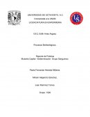 Muestra Capilar –Determinación Grupo Sanguíneo