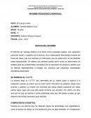 INFORME PEDAGÓGICO INDIVIDUAL