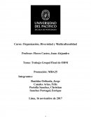 Tema: Trabajo Grupal Final de ODM
