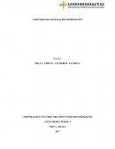 AUDITORIA DE SISTEMAS DE INFORMACIÓN TALLER SEMANA 6