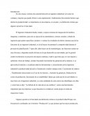 Ensayo ing industrial