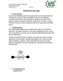 MI PROYECTO DE VIDA
